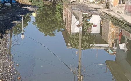 महराजगंज में सड़क खराब, ग्रामीणों में नाराजगी:जिला मुख्यालय से 2 किमी दूर तुलसीपुर टोले की सड़क गड्ढों में बदली