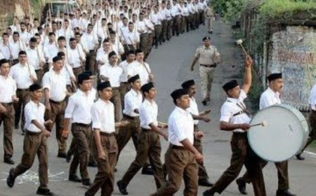 RSS का संगठनात्मक ढांचा बदलेगा:11 क्षेत्र घटकर 9 होंगे, 46 प्रांतों से बनेंगे करीब 90 संभाग; पहली बार राज्य इकाइयां बनेंगी