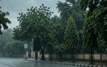 अर्नब तूफान का असर, बरेली में आज होगी बारिश:अधिकतम तापमान 25 डिग्री रहने का अनुमान,मौसम विभाग ने यलो अलर्ट जारी किया