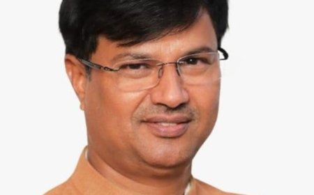 प्रशांत सिंह अटल विधि प्रकोष्ठ के संयोजक बने:भाजपा ने प्रकोष्ठों का गठन किया, युवा मोर्चा की प्रदेश टीम का इंतजार बरकरार