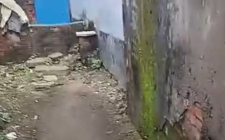 देवरिया में रास्ते पर कब्जे का आरोप:विधायक-सांसद पर उठाए सवाल, बोलीं- 113 साल की दादी के लिए दरवाजे तक नहीं पहुंचती एंबुलेंस