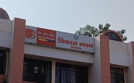 पीलीभीत में मनरेगा में AI फोटो से भुगतान का आरोप:पूरनपुर की 39 ग्राम पंचायतों के कामों की होगी जांच, दोषियों पर कार्रवाई