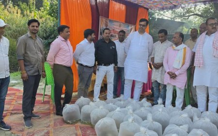 छोटी गंडक में मत्स्य बीज का संचय:कृषि मंत्री सूर्य प्रताप शाही ने चार घाटों पर छोड़े मत्स्य बीज
