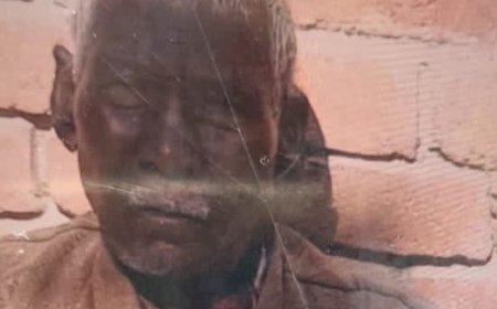 प्रतापगढ़ में मधुमक्खियों के हमले से वृद्ध की मौत:बचाने पहुंचे तीन लोग भी घायल, अस्पताल ले जाते समय रास्ते में तोड़ा दम