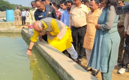 गोवंशों की मौत का मामला शासन तक पहुंचा:पशुधन मंत्री गौशाला पहुंचे; बोले- BDO से CVO तक, दोषी कोई नहीं बचेगा