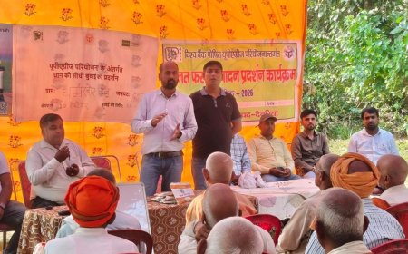 देवरिया में फसल कटाई दिवस आयोजित:धान की सीधी बिजाई, उन्नत कृषि पद्धतियों और उत्पादन बढ़ाने की जानकारी दी