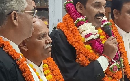 इलाहाबाद हाईकोर्ट बार चुनाव: धर्मेन्द्र यादव वरिष्ठ उपाध्यक्ष:आशुतोष त्रिपाठी संयुक्त सचिव बने, कई पदों के नतीजे आए, कल भी जारी रहेगी गिनती
