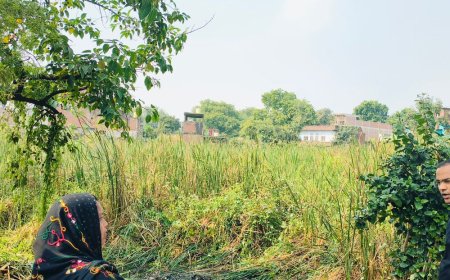 कानपुर में 16 घंटे बाद भी रेस्क्यू ऑपरेशन:घाटमपुर में नशे की हालत में बुजुर्ग तालाब में कूदा, SDM- तहसीलदार पहुंचे