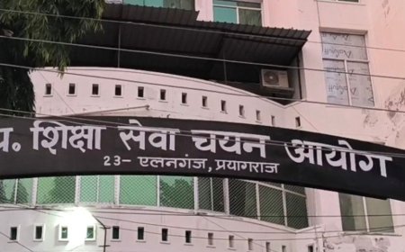 सहायक अध्यापक भर्ती के लिए आवेदन की तारीख बढ़ी:अब 28 अक्टूबर तक कर सकते हैं आवेदन, 12405 पदों पर होगा चयन
