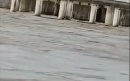 530 करोड़ खर्च फिर भी एपी बांध पर खतरा:कुशीनगर में नेपाल से पानी आते ही बढ़ जाता है दबाव