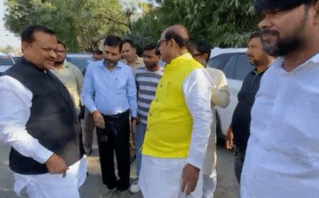 सांसद, MLA पनकी पड़ाव पुल के गड्ढे देख हुए नाराज:बोले- PWD 24 घंटे में पैचवर्क करें, 3 दिन में मरम्मत शुरू कराएं