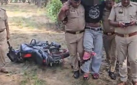 बुलंदशहर में हनी हत्याकांड का मुख्य आरोपी मुठभेड़ में घायल:पूर्व मायावती के फार्म हाउस के पास पुलिस और बदमाशों के बीच मुठभेड़ में गिरफ्तार, साथी फरार