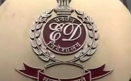 ₹28 हजार करोड़ के साइबर फ्रॉड केस में एडवोकेट गिरफ्तार:₹2.60 करोड़ 400 बैंक खातों में ट्रांसफर किए; अब तक 7 गिरफ्तार
