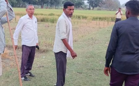 खेत की रखवाली कर रहे किसान पर सियार का हमला:सिर में आई चोट, शोर मचाने पर धान के खेत में भागा जानवर