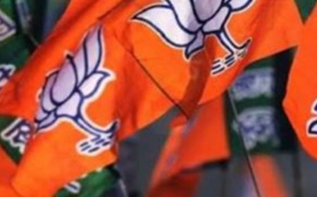 मेरठ में बबीता चौहान बनीं महिला मोर्चा महानगर अध्यक्ष:अनीता गुर्जर को मिली जिले की जिम्मेदारी, 26 जिलाध्यक्षों की सूची जारी की