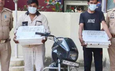 गाजियाबाद में मोबाइल टावर से चोरी करने वाला गिरफ्तार:पुलिस ने दो आरआरयू उपकरण और चोरी की बाइक बरामद की