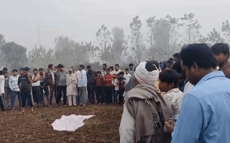 सहारनपुर में आवारा कुत्तों को बच्चें को मारा डाला:रात को घर से खेलने निकला था, रातभर नोचते रहे, सुबह को शव खेत में मिला