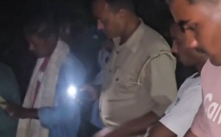 मैनपुरी में गौवंश का शव मिलने पर कार्रवाई की मांग:गौरक्षक दल मौके पर पहुंचा, जांच के लिए सैंपल भेजा, प्रदर्शन की दी चेतावनी