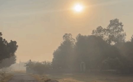 प्रयागराज में सुबह से निकली धूप, तापमान में गिरावट:धुंध छाई, ठंड का बढ़ने लगा असर,AQI 180 दर्ज