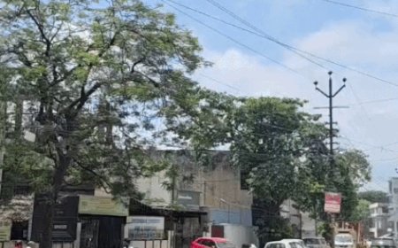मेरठ में सुबह-शाम हल्की ठंडक, दिन में तेज धूप:अक्टूबर की शुरुआत से बदला मौसम, 33 डिग्री तक पहुंचेगा तापमान