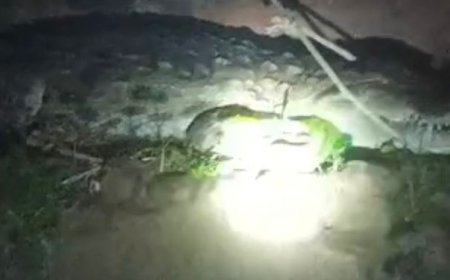 हरदोई के रिहायशी इलाके में पहुंचा मगरमच्छ:लोग सहमे, बच्चों-पशुओं की सुरक्षा को लेकर बढ़ी चिंता