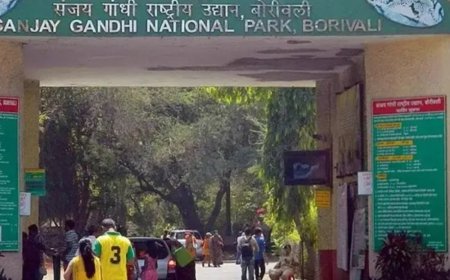 भास्कर अपडेट्स:मुंबई के संजय गांधी नेशनल पार्क में फायरिंग; एक की मौत, कई घायल