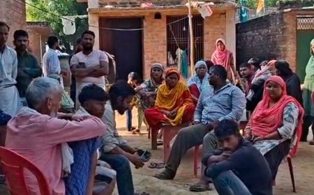 सुल्तानपुर में टीकाकरण के बाद 11 मवेशियों की मौत:डॉक्टरों की टीम ने लगाए थे टीके, पशुपालकों में दहशत, जांच जारी