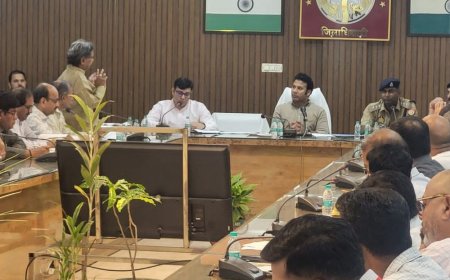 सहारनपुर में DM ने अफसरों को फटकारा:निवेश मित्र पोर्टल के लंबित मामले निपटाने और लापरवाही पर वेतन रोकने के निर्देश दिए