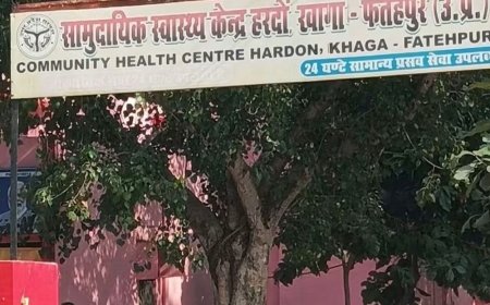फतेहपुर में किशोर को सांप ने डसा:परिवार के साथ सो रहा था, घर पर ही तोड़ा दम