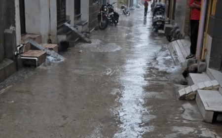 बिजनौर में बारिश से दिन में छाया अंधेरा:तेज हवाओं के साथ झमाझम बारिश, धान और गन्ने की फसल पर नुकसान का खतरा