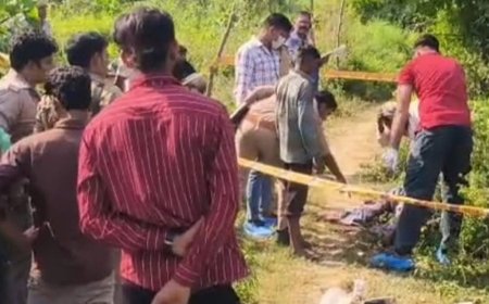 सगे भाइयों ने बांके से की थी भाई की हत्या:सीतापुर में 24 घंटे पहले घर के बंटवारे को लेकर हुआ था विवाद, बांका बरामद, दो भाई गिरफ्तार