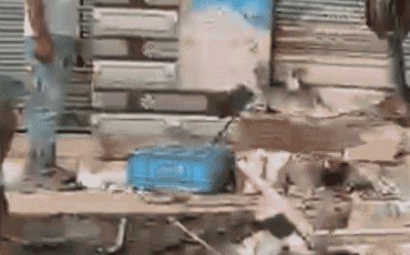 दूध की दुकान में घुसकर हमला-तोड़फोड़, VIDEO:शामली के कांधला में जमकर तोड़फोड़, लाखों का नुकसान, 25 लोगों पर मामला दर्ज