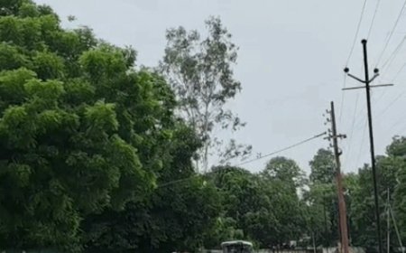 देश का सबसे प्रदूषित शहर बना मेरठ:300 पार पहुंचा AQI दिन का तापमान 30 डिग्री से ऊपर बरकरार, रात में ठंड