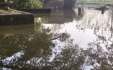 सकरन में हर साल जलमग्न होता है ब्रह्मचारी बाबा धाम:ग्रामीणों ने प्रशासन से की पक्की ड्रेनेज व्यवस्था की मांग, जल निकासी की व्यवस्था नहीं