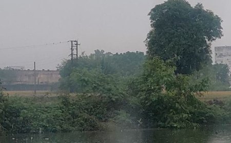 बागपत में 12 घंटे से बारिश जारी, गिरा तापमान:रात का तापमान 18 और दिन का 23 डिग्री दर्ज किया गया, किसानों को अलर्ट जारी