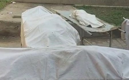 बुलंदशहर में कार पेड़ से टकराई, 5 की मौत:मरने वाले एक ही परिवार के, 3 की हालत गंभीर