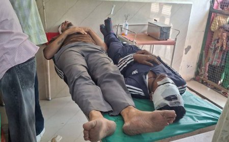 शामली में फ्लाईओवर पर पलटी स्कॉर्पियो, 2 की मौत:पानीपत बाईपास फ्लाईओवर पर हुआ हादसा, डिवाइडर से हुई टक्कर