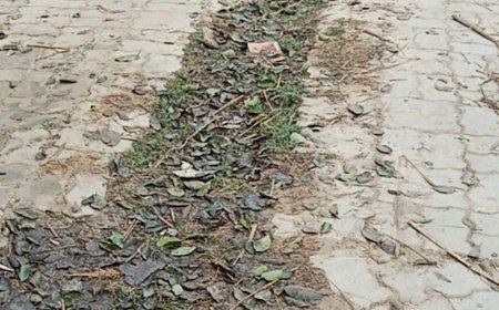 बलिया में 169 किमी ग्रामीण सड़कों की होगी मरम्मत:जल जीवन मिशन की पाइपलाइन बिछाने से हुई थीं खराब, अब सुधरेंगी