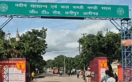 धान से धनीपुर मंडी फुल, कल नहीं आएगा नया माल:अलीगढ़ की मंडी में दो लाख से ज्यादा बोरियां धान होने का अनुमान, बारिश से रुकी तुलाई और बिक्री