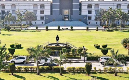 सोमनाथ मंदिर के पास नॉनवेज बेचने पर रोक नहीं:गुजरात हाईकोर्ट ने सरकारी पाबंदी हटाई, कहा- कलेक्टर ने शक्तियों का गलत इस्तेमाल किया